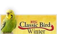 Classic Bird Winter