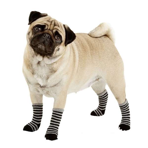 Karlie Doggy Socks Hundesocken 4er Set - Schwarz/Grau - L