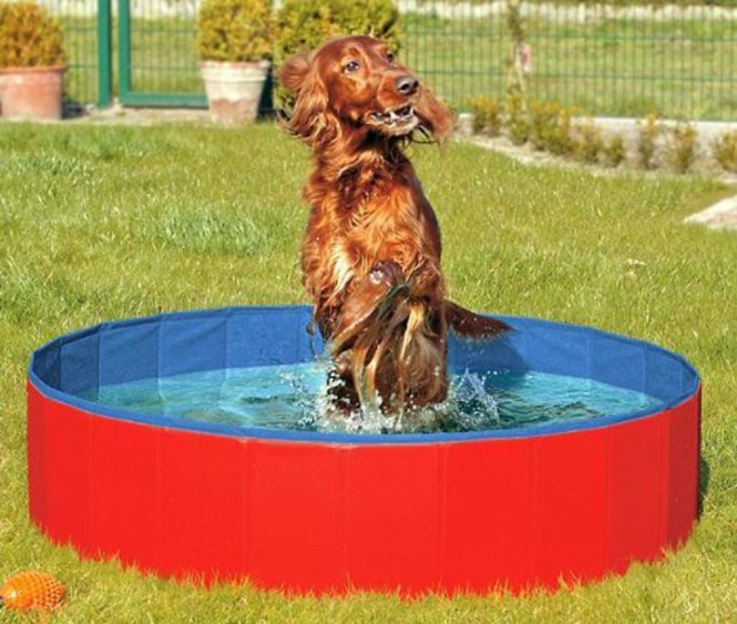 Karlie DOGGY POOL der Swimmingpool für Hunde - Rot-Blau - 160 cm